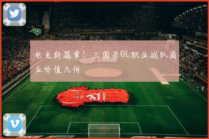 电竞新篇章!三国杀OL职业战队商业价值几何