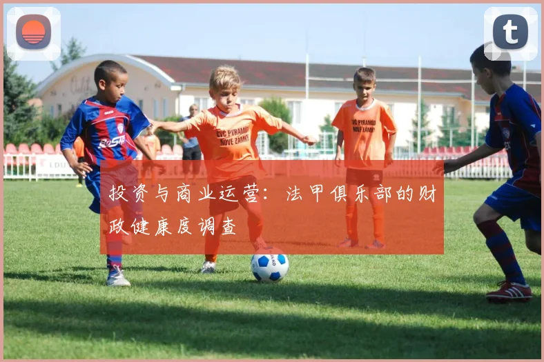 投资与商业运营：法甲俱乐部的财政健康度调查